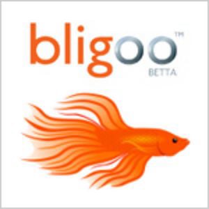 Profile picture for Bligoo