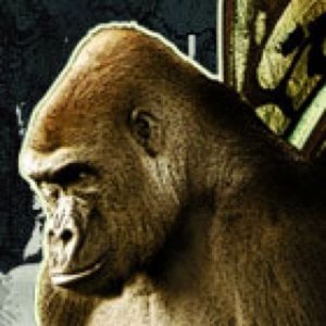 Profile picture for Alberto Cerriteño