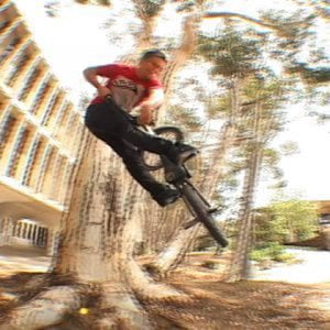 Profile picture for Brandon Eckles