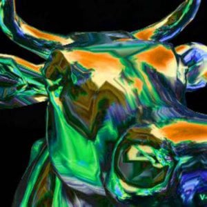 Profile picture for vj-pedro