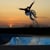 ben basford