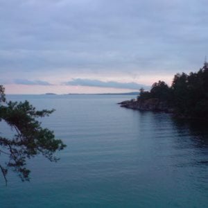 Profile picture for Mattias Aronsson