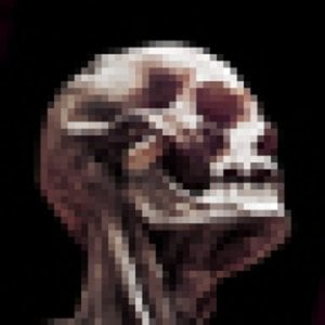 Profile picture for lisicmarijan
