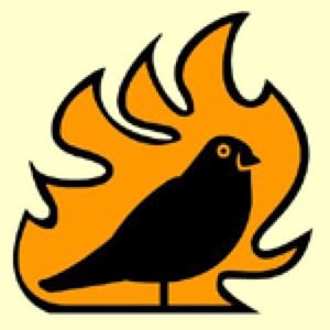 Profile picture for birds-on-fire films