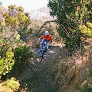 Profile picture for ChannelMTB