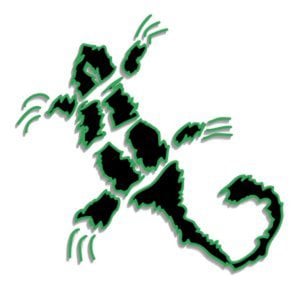 Profile picture for Green Gecko Films