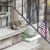 SoBo Squirrel
