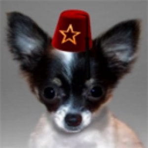 Profile picture for PuppyGuts