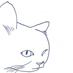Profile picture for Ana Pecar