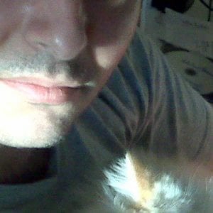 Profile picture for Mark L. Feinsod