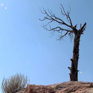 Profile picture for Climate Chains