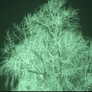 Profile picture for pilvari pirtola