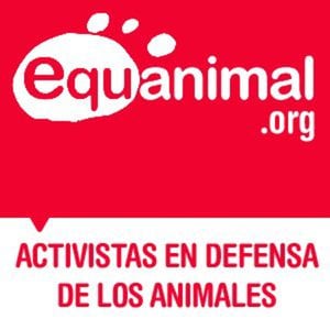 Profile picture for Equanimal