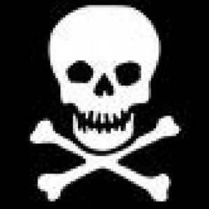Profile picture for kevin arnould