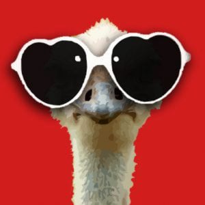 Profile picture for David Marx