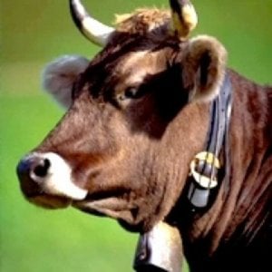 Profile picture for Draining Beats