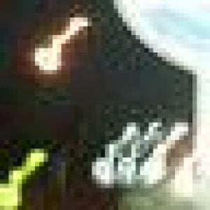 Profile picture for ck