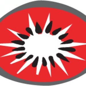 Profile picture for Redkiwi Rotterdam