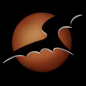 Profile picture for Bat in the Sun