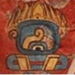 Profile picture for TONAL
