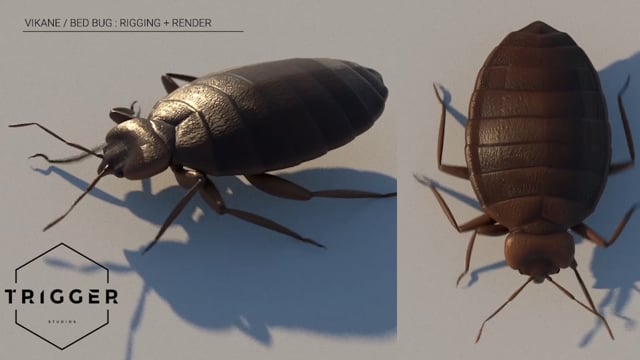 Bedbug / Vikane Rigging and Render test