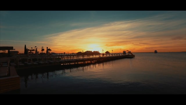 Vimeo Video