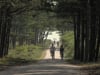 100 jaar toerisme op Terschelling (trailer)