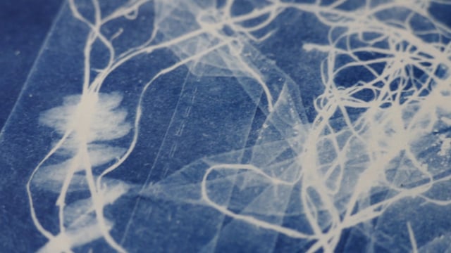 Video thumbnail image for: 'Cyanotypes'