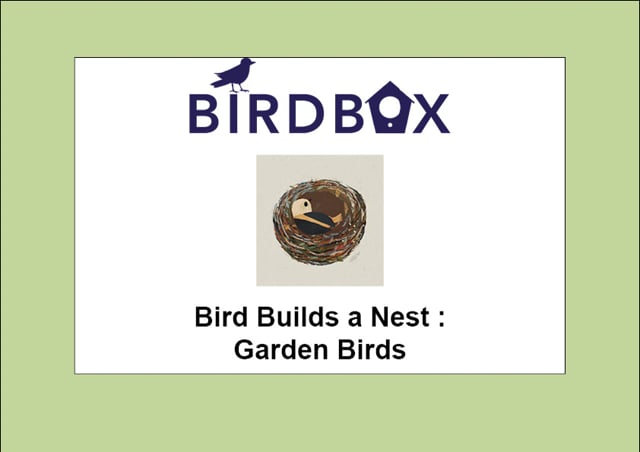 Video thumbnail image for: 'Garden Birds'