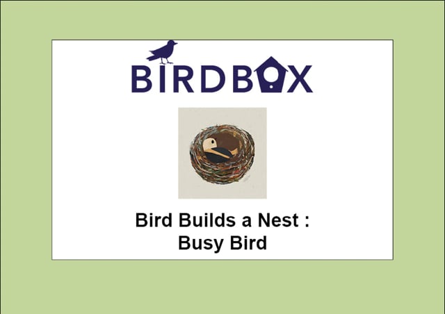 Video thumbnail image for: 'Busy Bird'