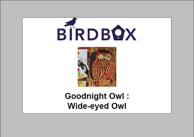 Video thumbnail image for: 'Wide-eyed Owl'