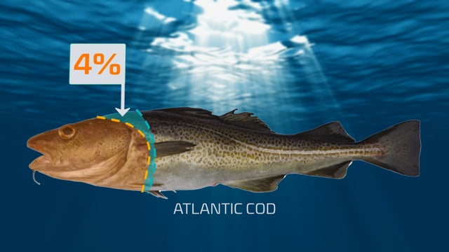 HOW TO AVOID LOSING YIELD DUE TO IMPROPER HEADING