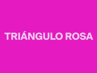 Triángulo Rosa, activismos LGTBIQ+ en escuelas - Diálogos