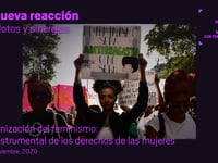 La nueva reacción. Antídotos y sinergias - Demonización del feminismo: uso instrumental de los derechos de las mujeres