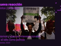 La nueva reacción. Antídotos y sinergias - Feminismos y alianzas interseccionales frente al odio como política