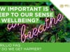 How important is sleep to our sense of wellbeing?