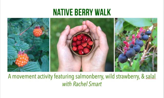 Native Berry Walk with Rachel Smart Video