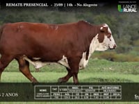 Lote 05 - V199