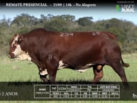 Lote 06 - V234