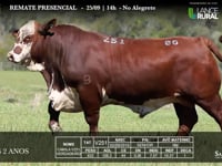 Lote 06 - V251