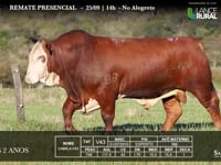 Lote 07 - V43