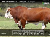 Lote 09 - V39