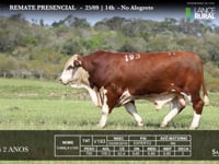 Lote 11 - V193