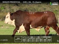 Lote 14 - V177