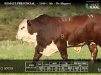 Lote 15 - V149