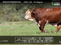 Lote 17 - V354