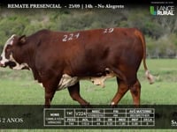 Lote 19 - V224