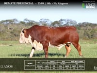 Lote 17 - V143