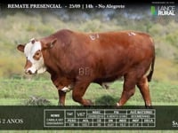 Lote 10 - V67