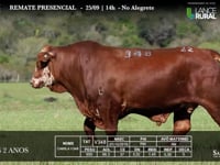 Lote 22 - V348